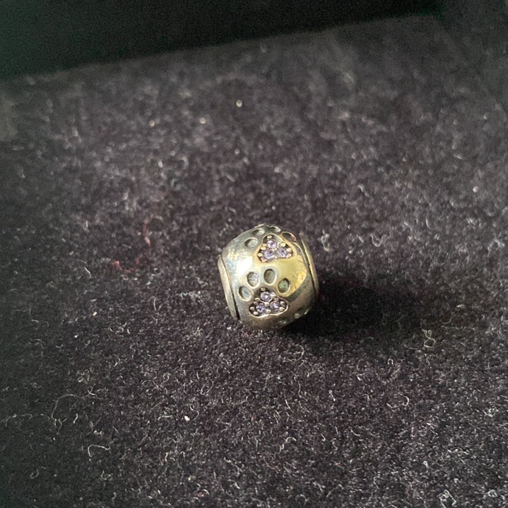 Silver Pandora Dog Paw Charm
